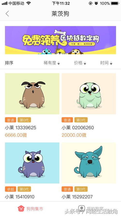 軟件先行，硬件奠基 我的區塊鏈產品參與策略